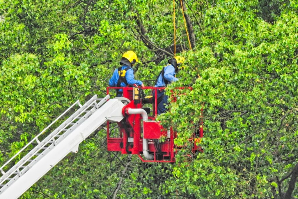 a couple of men standing on top of a cherry picker